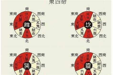 震命|东四命是什么意思